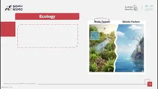 NSMO Olympiad -Science/Biology- Lesson 19 Relationships Between Living Organisms