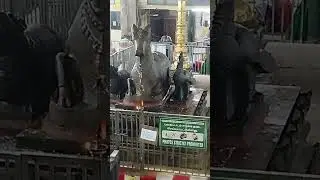 🙏🙏🙏 Thiruparakundram murugan temple 🙏🙏🙏&hearts;️