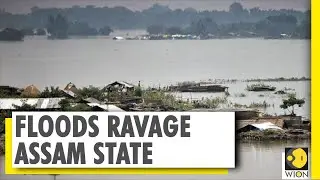 Assam Floods: Over 45,000+ people displaced, 89 killed, 2 Million people affected | World News