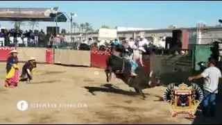 Vaquerro de juanajuato vs alma de acerro