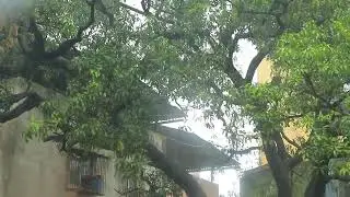 Mumbai Monsoon Heavy Rain with Wind Stock Footage | Copyright Free Video | First Footage
