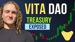 What is In Vita DAOs Treasury