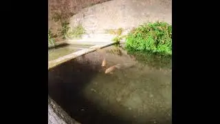 Balade &agrave; Saumane-de-Vaucluse