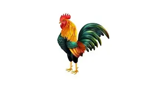 🔊 ROOSTER CROWING SOUND
