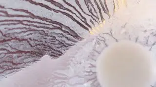 Centered Calm - A Colors In Motion Preview