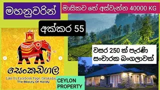 NO,,908 # මහනුවරින් අක්කර 55,,COLONIAL සංචාරක බංගලාවක් ,ලස්සන වටපිටාවක් මැදිව සින්නක්කර දේපලක් 