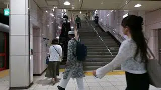 Oji Station N16 Relaxing Walk | Tokyo Metro Namboku Line | Japan 4K ASMR | Tokyo Silent Explorer