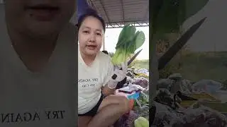 ทำผักกันจ้า ขายผักผลไม้จ้า