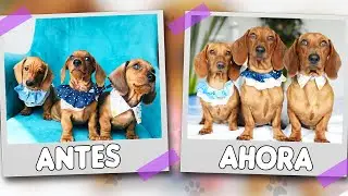 IMITANDO FOTOS DE BEBES | POLINESIOS VLOGS