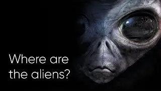 WHY IS THE UNIVERSE SILENT? THE FERMI PARADOX