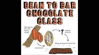 COLLINS BIG CAT EBOOK READING CHOCOLATE FROM BEAN TO BAR BAND12/COPPER MUZI TOYS | PBS |STORYTELLING