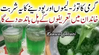 How To Make Lemon & Mint Drink| Sharbat Recipe|Nimbu Pudina Sharbat Recipe | Summer Refreshing Drink