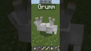 Jeb_ & Grumm name tag..#viralvideo #minecraft