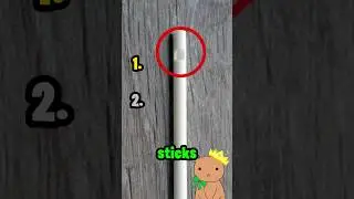 The REAL Reason Why Lollipop Sticks Have A Mysterious Hole?