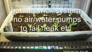 Indoor Bottom Wick system garden aka self watering Hydroponics