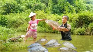 Daily Life of Dwarf Family - Trapping Fish, Catch Fish and Treating Diseases with Medicinal Leaves