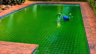 The Community Pool SAVES the day!