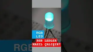 RGB LED ile Harika Renkler Yarat! | NeoPixel ile Kolay LED Kontrol