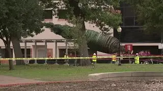 50-foot-tall H-E-B Christmas tree arrives at Travis Park