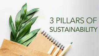 Understanding the Three Pillars of Sustainability: Creating a More Sustainable Future