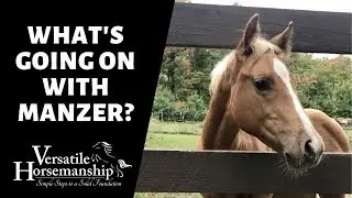 WHAT&rsquo;S GOING ON WITH MANZER?