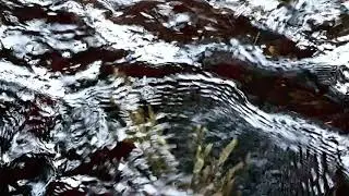 Consider Suicide - Wemmel II (official video)