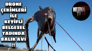 Tekirdağ Yeniçiftlik Barajı YAYIN AVI !! ( Sazan Avına Niyetlendik YAYIN çıktı )