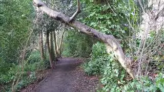 RayGlo Brincliffe Edge Miscellany