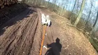 3 Lauf zur Mitteldeutschen Meisterschaft