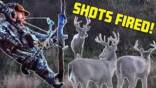 Early Season Bowhunting - 14 BUCKS IN ONE HUNT!?!
