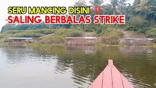 MANCING CIRATA ‼️ MANTAP 😱 SALING BERBALAS STRIKE IKAN BESAR BESAR