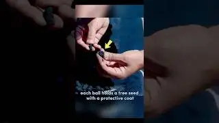 #tiktoktrend