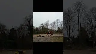 Nadal 20 janvier 2025    contre galop.  Encire trop de r&eacute;sistance