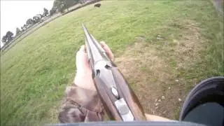 Chasse au Sanglier en Normandie