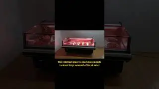 Commercial horizontal fresh meat storage refrigeration display freezer with lighting