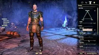 Team Nerd: The Elder Scrolls Online (Beta) Character Customization - Male