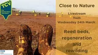 Close to Nature - Reed Beds, Regeneration and Rewilding