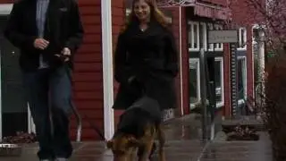 Seattle Humane: Saving Lives 2011
