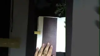 ASMR Journal | Vintage Spread Journal | #journal #journalwithme #vintage #shorts #scrapbooking