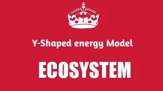Y-Shaped Energy Flow Model      (Lecture 77)