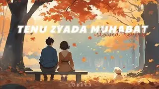 Tenu Zyada Mohabbat - Slowed + Reverb | Lurevo Exclusive Edit - Talwiinder
