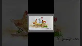 Chickens(Flock) Watercolour. Gallus gallus domesticus #art #drawing #painting #paintingtutorial