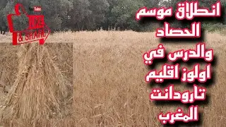 انطلاق موسم الحصاد والدرس في# اولوز اقليم تارودانت المغرب
