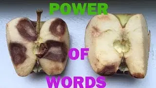 The Power Of Words | Jovanka Ciares