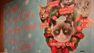 Press Conference for Celebrity Cats Premiere Event at Capital Records #GrumpyCat