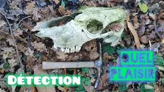 Sortie Detect/Nature 