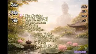 Nhạc Thiền Lời Việt – Tâm An, Buông Bỏ, Hiểu & Thương – 1 Giờ Chữa Lành Từ Bi (Full Album)