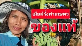 ความฝันคือกลับมาทำเกษตร #เมียฝรั่ง #คนอีสาน #คนไทย #คนไทยในต่างแดน 