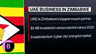 Africa, Middle East: How the UAE Became Zimbabwe's Biggest Export Partner