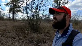 The Nottingham Serpentine Barrens